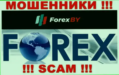 Будьте очень внимательны, род деятельности Forex BY, Forex - это кидалово !!!