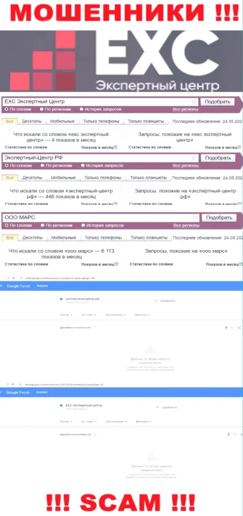 Статистика поисковых запросов по бренду Экспертный-Центр РФ в интернет сети