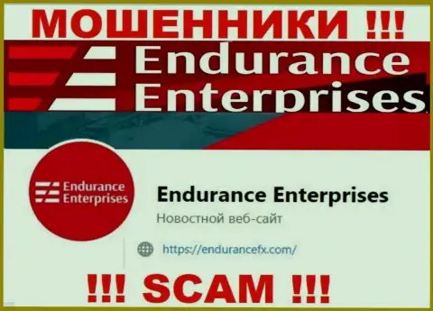 Установить связь с интернет-обманщиками из конторы EnduranceFX Com Вы сможете, если напишите письмо на их е-майл