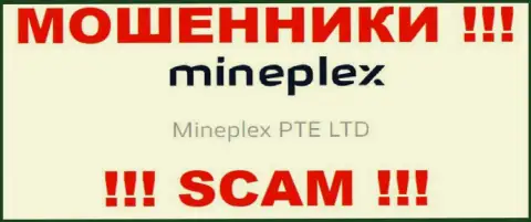 Руководителями Мине Плекс является организация - Mineplex PTE LTD
