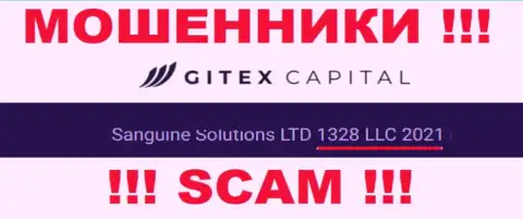Регистрационный номер компании GitexCapital Pro - 1328LLC2021