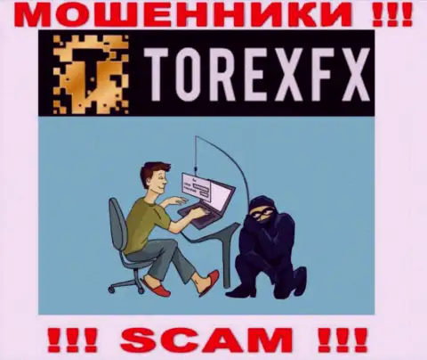 Мошенники TorexFX Com могут постараться развести Вас на деньги, только имейте в виду это очень рискованно