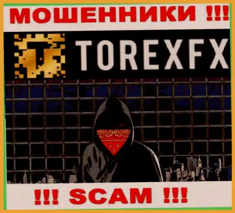 Torex FX не разглашают информацию о Администрации конторы