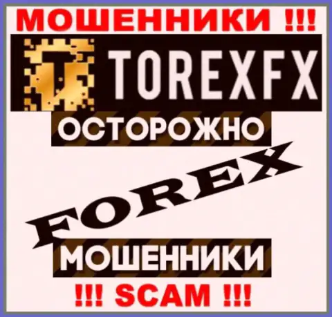 Род деятельности ТорексФХ Ком: Forex - хороший доход для интернет мошенников