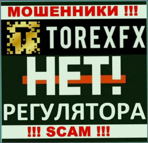 Компания TorexFX - это ВОРЫ !!! Орудуют противозаконно, т.к. не имеют регулирующего органа