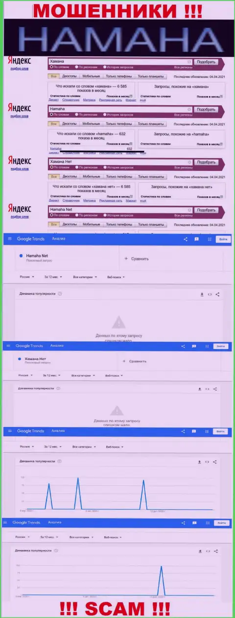 Online-запросы по бренду мошенников Хамана Нет в поисковиках всемирной паутины
