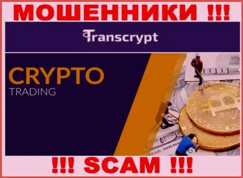 TransCrypt это internet-шулера !!! Сфера деятельности которых - Crypto trading