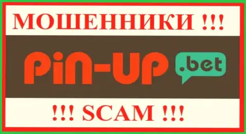 Pin-Up Bet это АФЕРИСТЫ !!! SCAM !!!