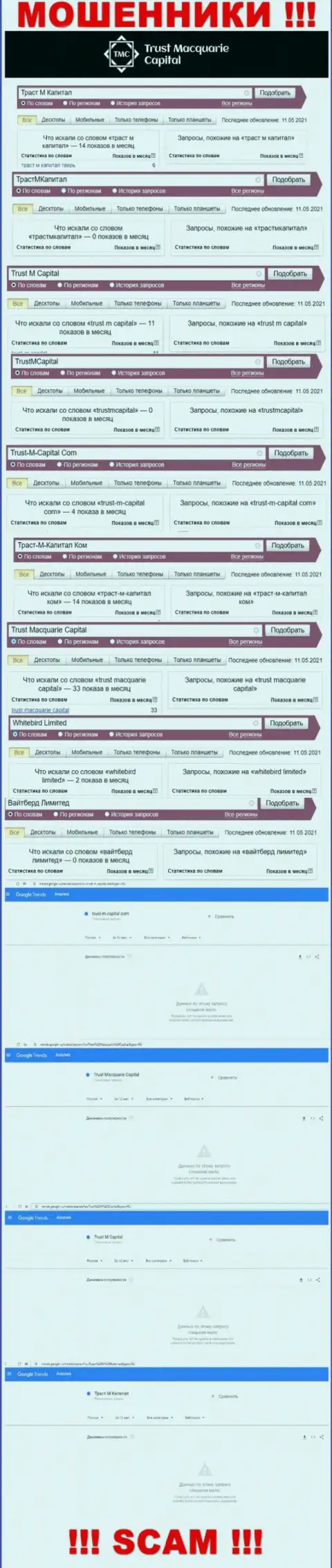 Статистика поисков инфы о internet-кидалах Вайтберд Лтд