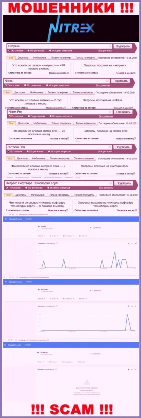 Статистические данные запросов по бренду Nitrex в глобальной internet сети