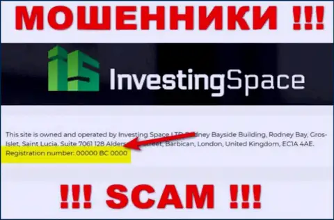 Номер регистрации противозаконно действующей компании Investing Space - 00000 BC 0000