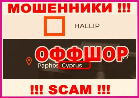 Лохотрон Hallip Com зарегистрирован на территории - Cyprus