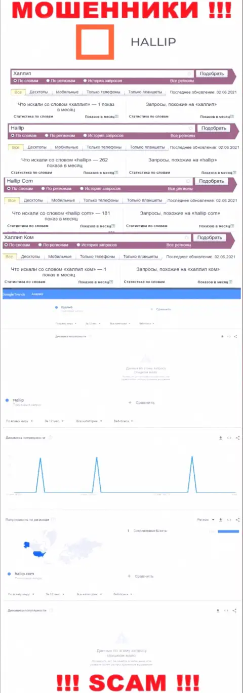 Информация о запросах по бренду интернет-аферистов Халлип