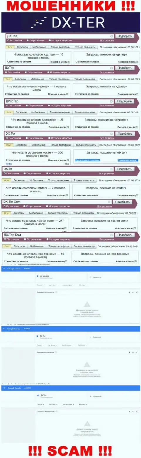 Статистические показатели поисков сведений о internet кидалах DX Ter