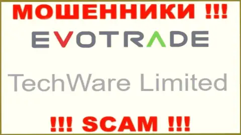 Юридическим лицом EvoTrade является - TechWare Limited