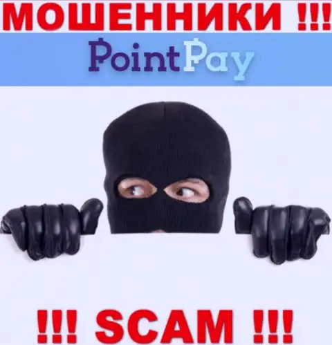 О руководителях неправомерно действующей организации Point Pay сведений не найти