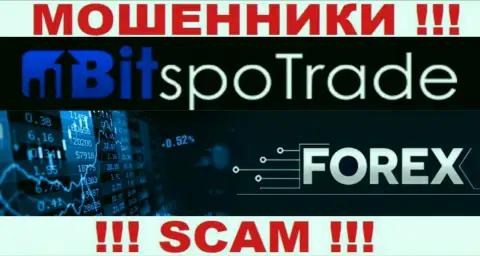 FOREX - то, чем занимаются интернет-разводилы Бит Спо Трейд