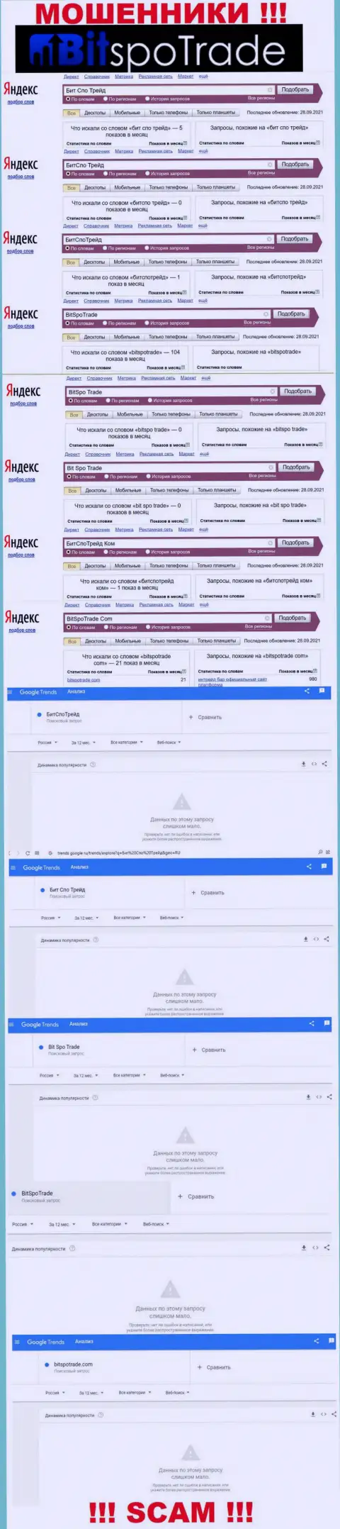 Показатели поисковых запросов по бренду мошенников BitSpoTrade