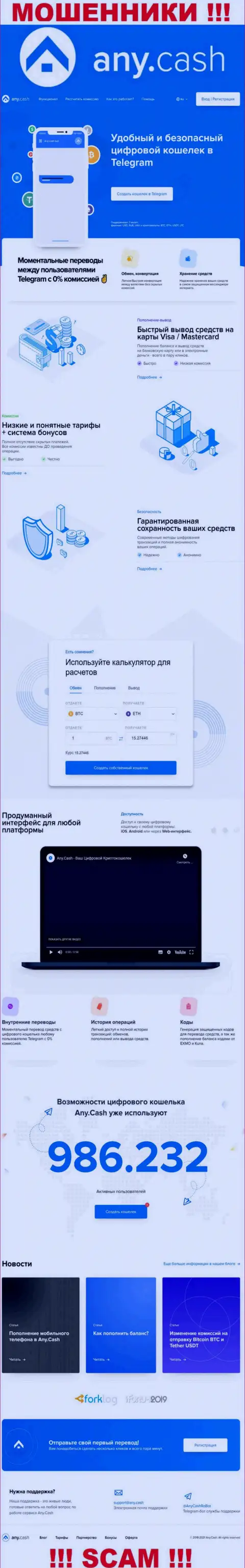 Any Cash это сервис организации AnyCash, обычная страница мошенников