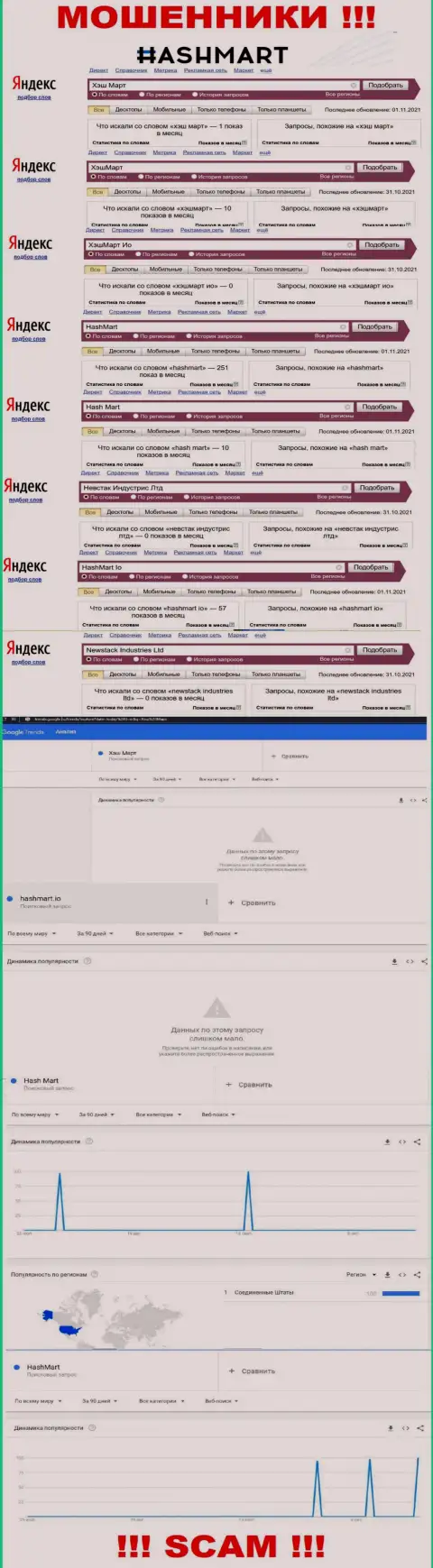 Статистические показатели брендовых online-запросов по неправомерно действующей организации HashMart