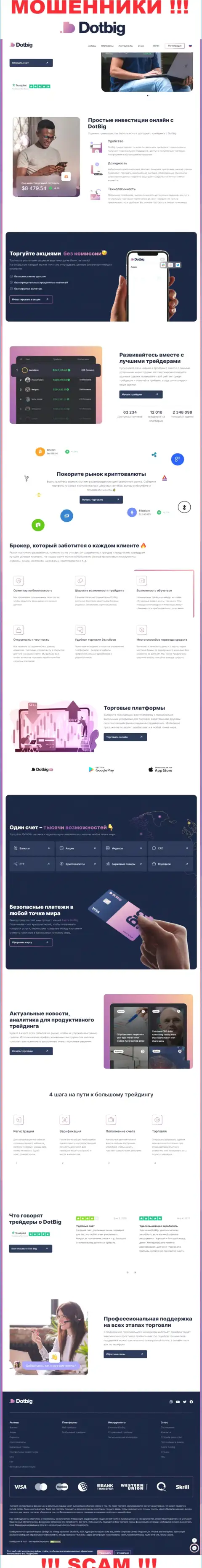Официальный веб-портал мошенников ДотБиг