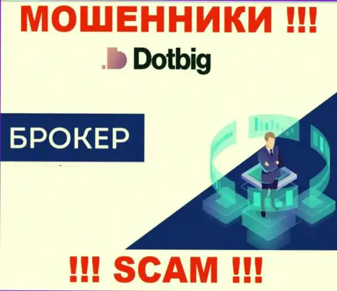 DotBig LTD - это МОШЕННИКИ, вид деятельности которых - Брокер