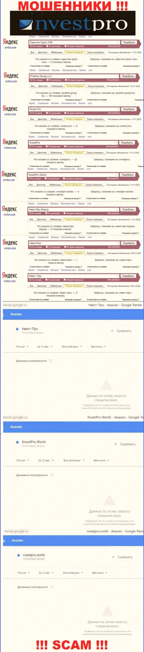 Статистические сведения поисковых запросов по жуликам NvestPro в internet сети