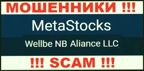 Юридическое лицо internet-мошенников MetaStocks - это Wellbe NB Aliance LLC