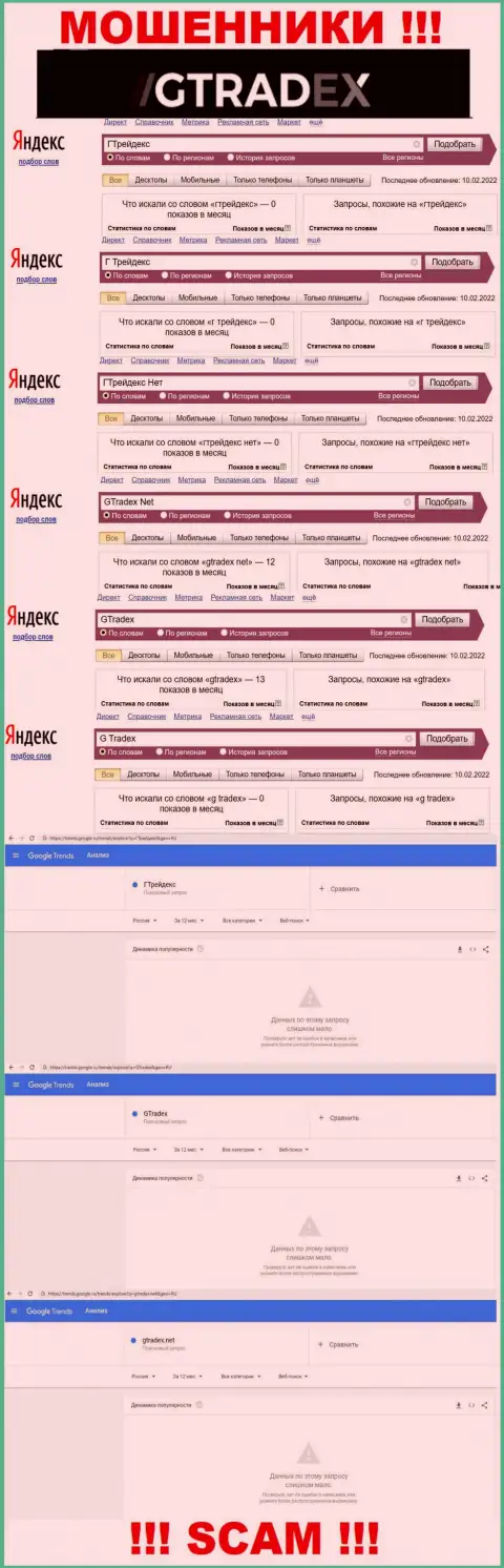Анализ online запросов, относительно мошенников GTradex, во всемирной интернет сети