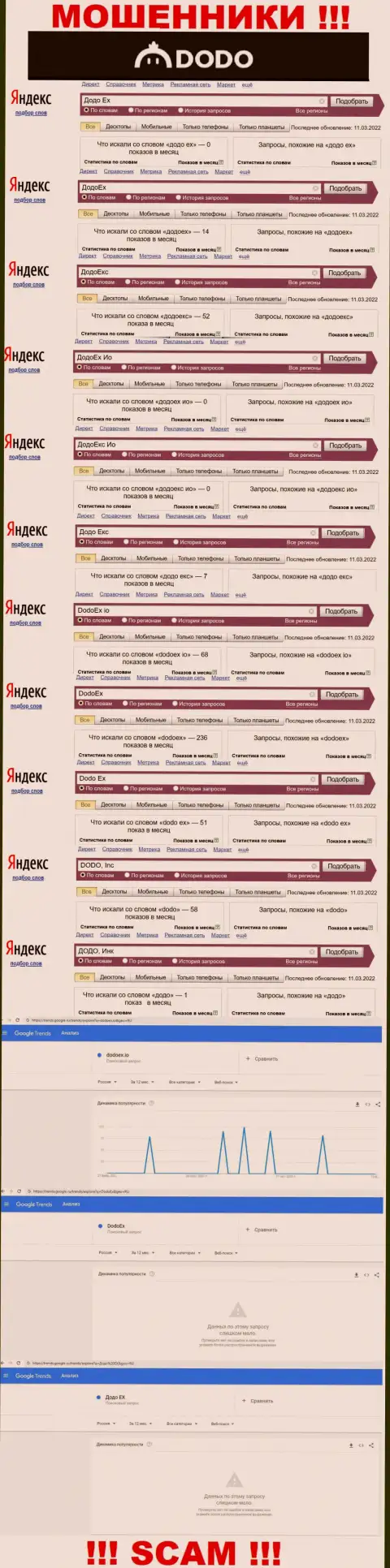 Статистика онлайн запросов по ворам DODO, Inc в поисковиках инета