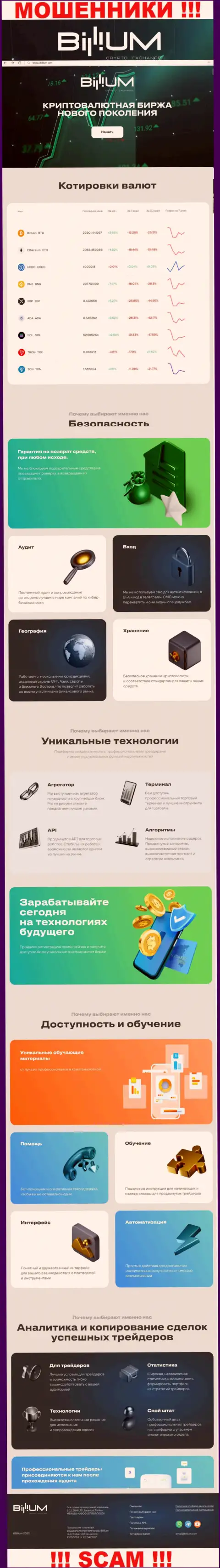 Сведения о официальном интернет-портале мошенников Billium