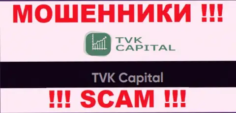 TVK Capital - это юр лицо мошенников TVKCapital