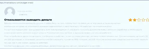 Надёжность конторы БуджетИнвест Орг вызывает сомнения у internet-сообщества