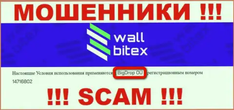 WallBitex - это ОБМАНЩИКИ !!! Управляет данным разводняком БигДроп ОЮ