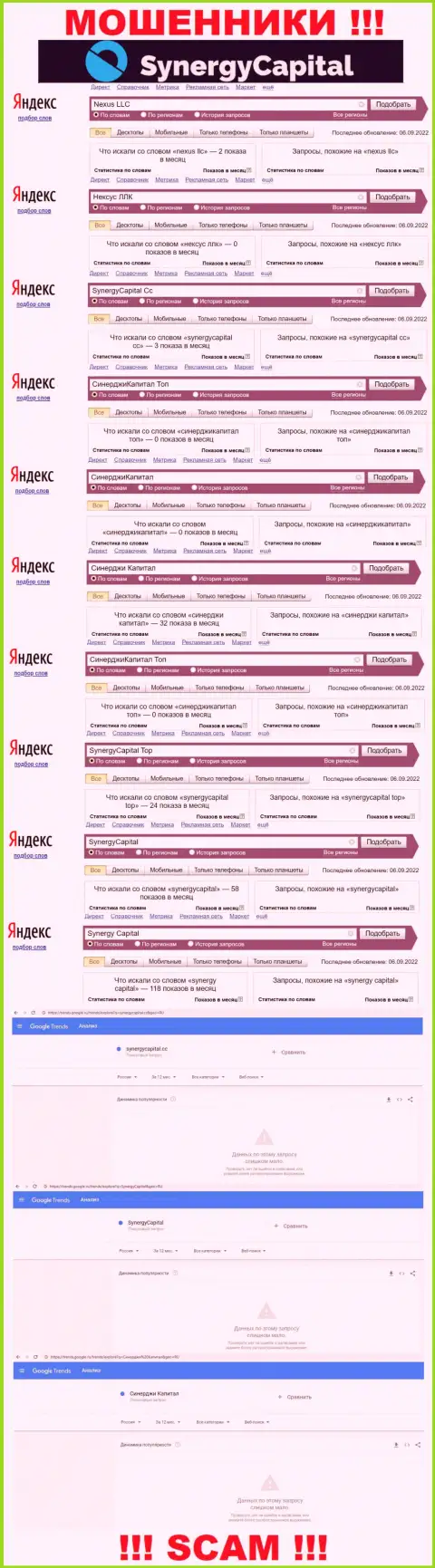 Статистика онлайн-запросов по бренду СинерджиКапитал во всемирной интернет паутине