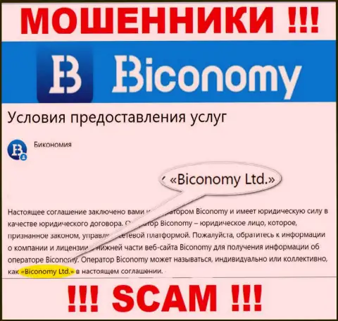 Юридическое лицо, владеющее интернет шулерами Biconomy это Бикономи Лтд