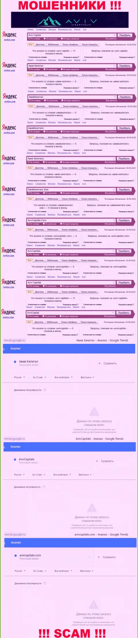 Статистические данные поисков данных об ушлых интернет-мошенниках Aviv Capitals