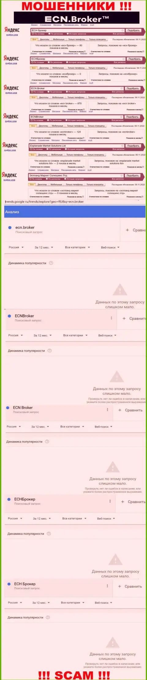 Количество запросов по internet разводилам ECN Broker