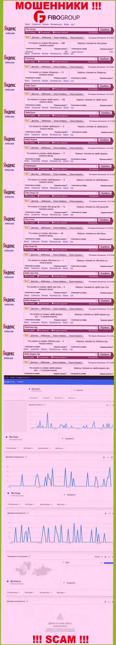 Статистические сведения поиска инфы о интернет разводилах Fibo Group