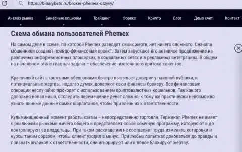 PhemEX - КИДАЛЫ ! Принцип деятельности РАЗВОДНЯКА (обзор)