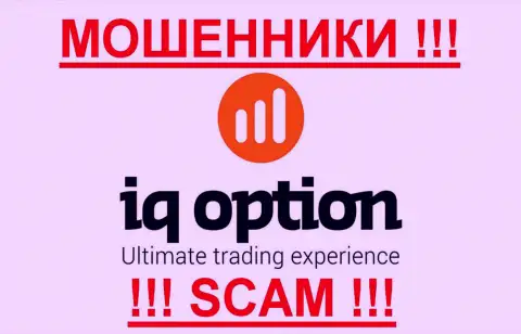 Ай Кью Опцион - МОШЕННИКИ !!! SCAM !!!